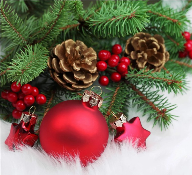 С НОВЫМ ГОДОМ !